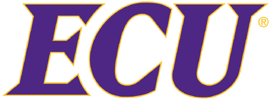 East Carolina Pirates 2014-Pres Wordmark Logo v2 diy iron on heat transfer